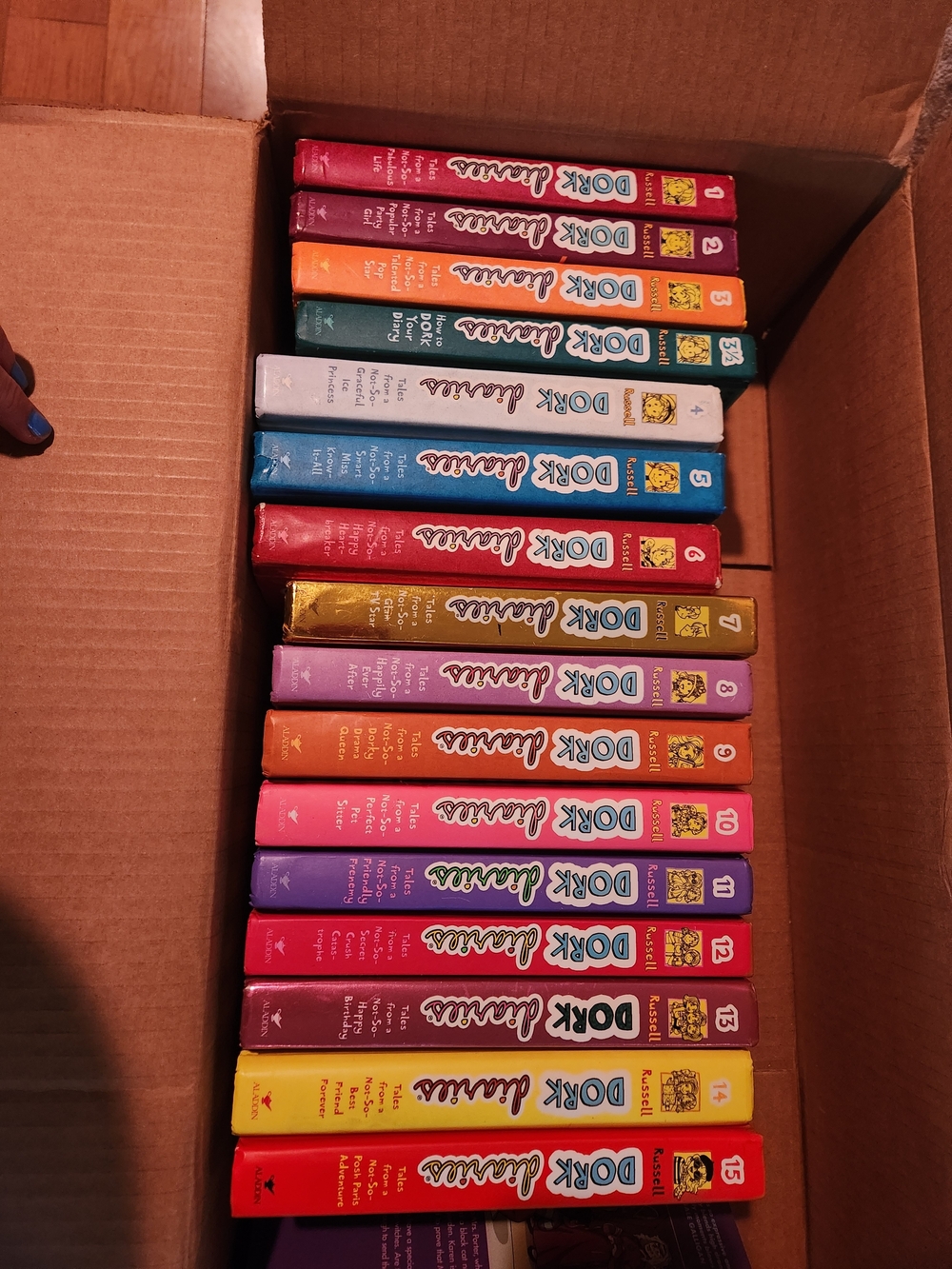 Enid Blyton "Dork Diaries" Boxed Rainbow Hardcover Set 17 Books